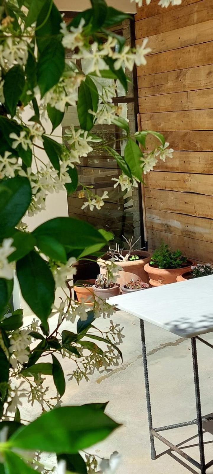 Bed and Breakfast Mas Ferran Adults Only Pals Exterior foto