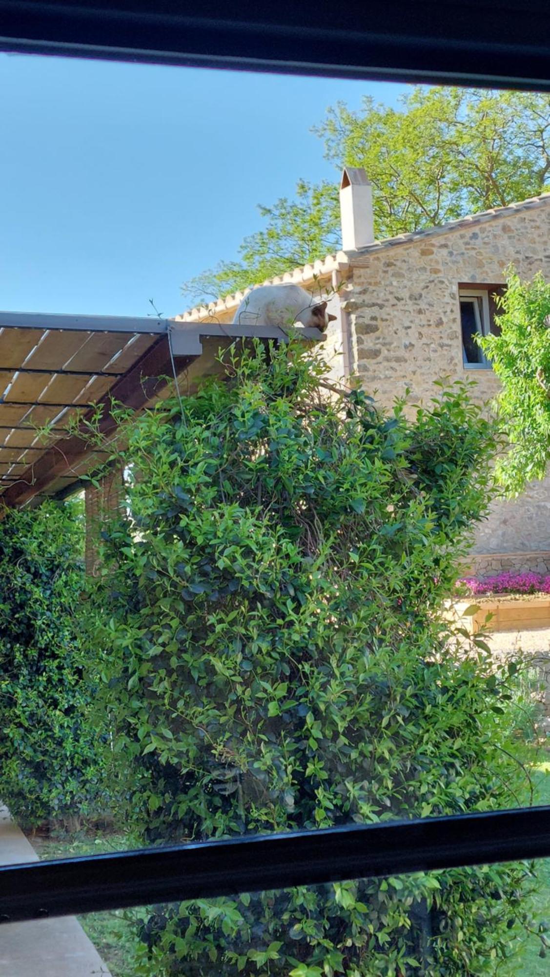 Bed and Breakfast Mas Ferran Adults Only Pals Exterior foto